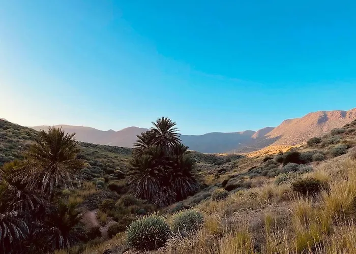 Oasis La Isleta